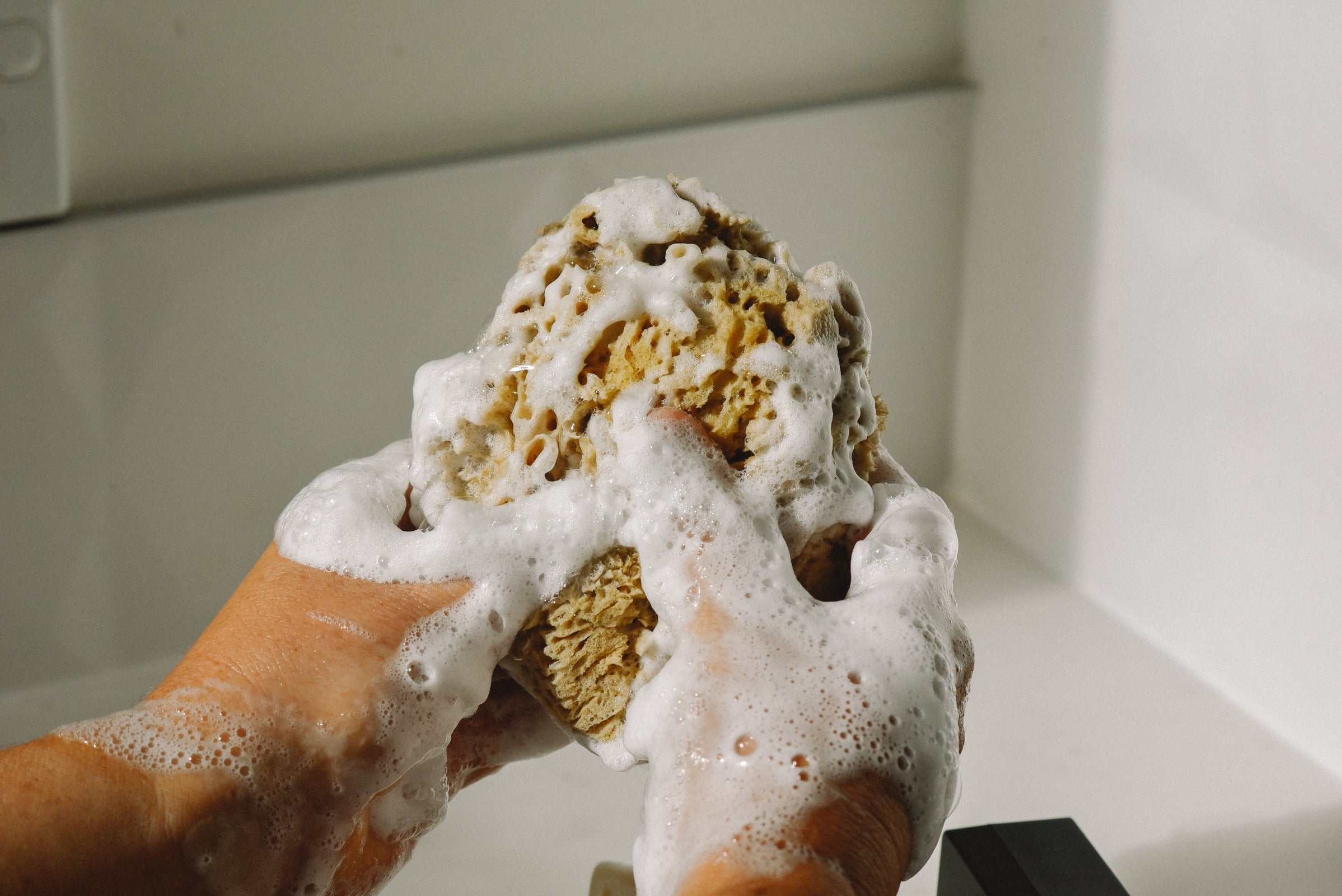 Real World Sea Sponge - Natural Mediterranean